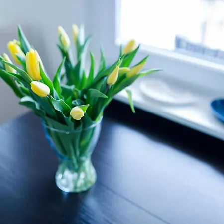 Apartman Apartament N4 Gdynia